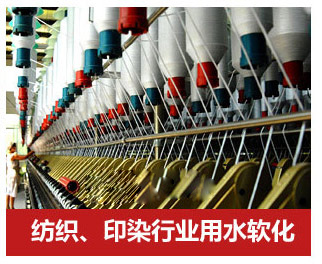 0.5噸(500L)每小時出力全自動軟水器